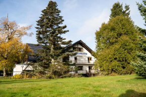 Villa Nordhang - Apartment 5 Winterberg